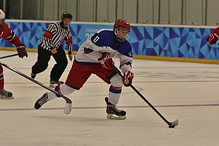 Andrei Svechnikov