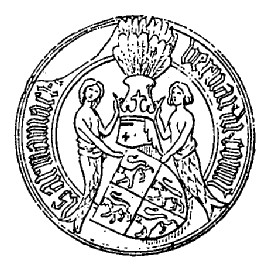 Bernardo VII de Armagnac