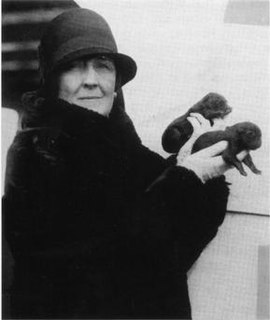 Carrie Fulton Phillips