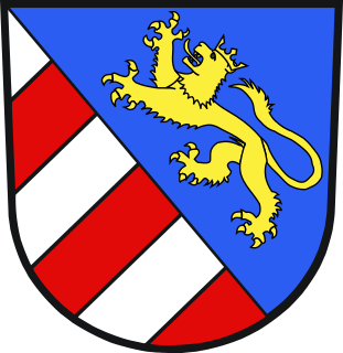 Henry V, Count of Gorizia