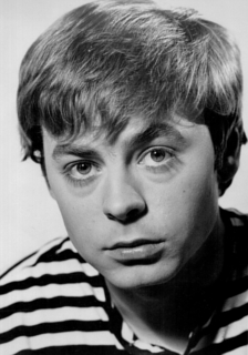 Hywel Bennett