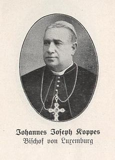 Johannes Joseph Koppes>