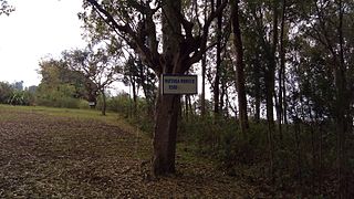 Mutaga IV Mbikije of Burundi