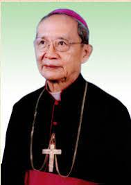 Nicolas Huynh Van Nghi