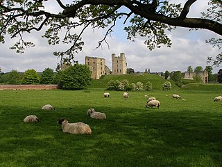 Robert Constable