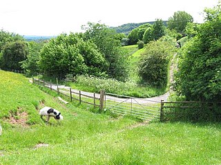 Roger Vaughan of Bredwardine