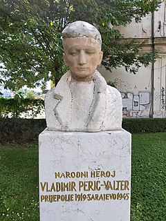 Vladimir Perić Valter>